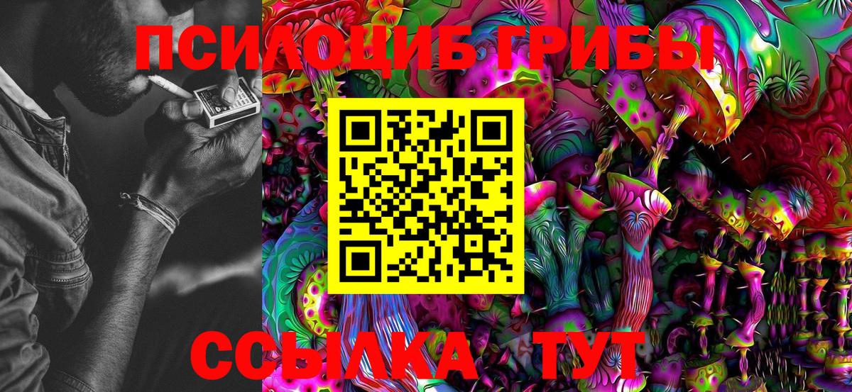 Мирный  Галлюциногенные грибы Magic Shrooms  Псилоцибиновые грибы Psilocybine cubensis  Вход с VPN 